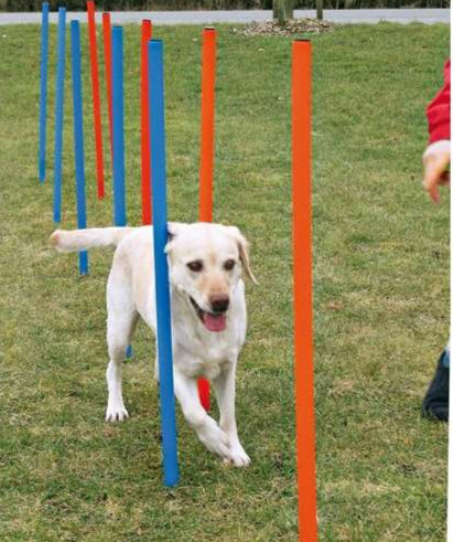 Agility Slalomstangen Trixie