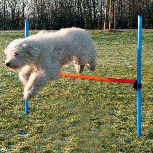 Agility Hürde Trixie