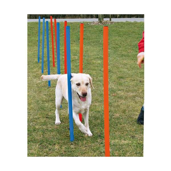 Agility