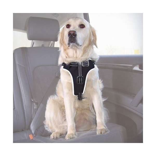 Auto-Sicherheitsgeschirr für Hunde | Pawfect