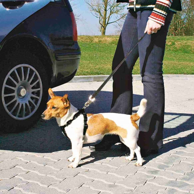Hunde-Auto-Sicherheitsgeschirr | Pawfect