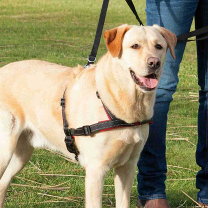 Trixie Trainingsgeschirr Lead'n'Walk Soft – Neopren-Polsterung, Stufenlos verstellbar, Schwarz