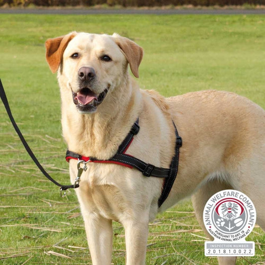 Trixie Trainingsgeschirr Lead'n'Walk Soft – Neopren-Polsterung, Stufenlos verstellbar, Schwarz