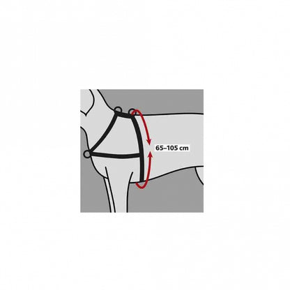 Trixie Trainingsgeschirr Lead'n'Walk Soft – Neopren-Polsterung, Stufenlos verstellbar, Schwarz