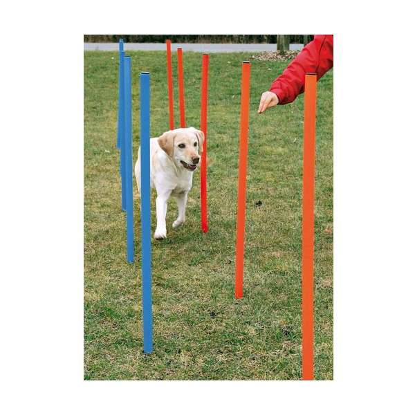 Agility Slalomstangen Trixie