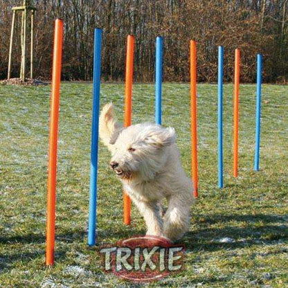 Agility Slalomstangen Trixie