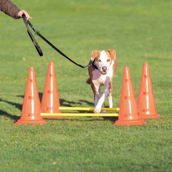 Agility Pylonen-Hindernis 2er Set Trixie