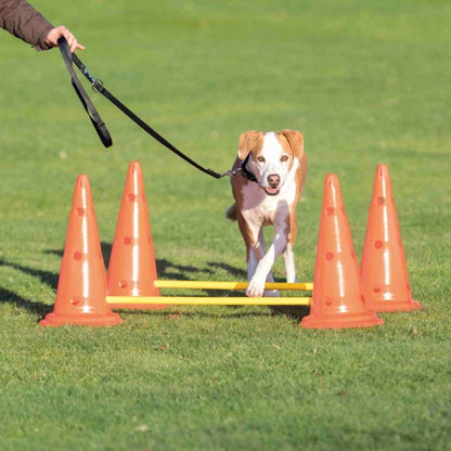 Agility Pylonen-Hindernis 2er Set Trixie
