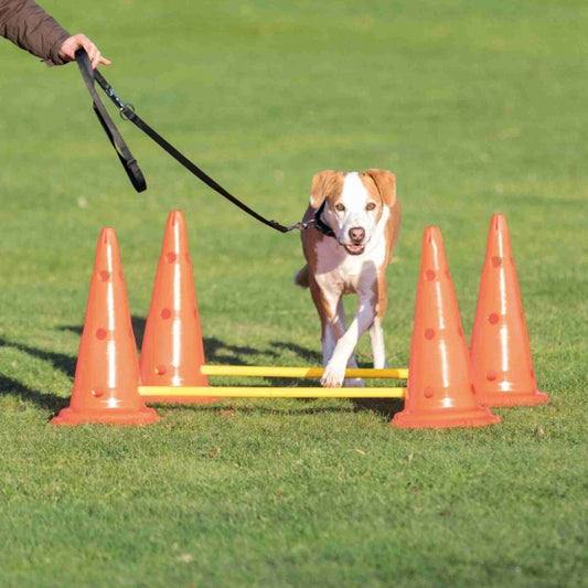Agility Pylonen-Hindernis 2er Set Trixie