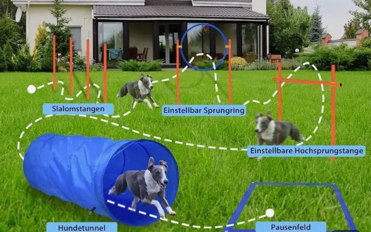 Agility-Set für Hunde – Mit Hürden, Tunnel & Tragetasche