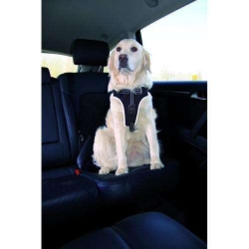Auto-Sicherheitsgeschirr für Hunde | Pawfect