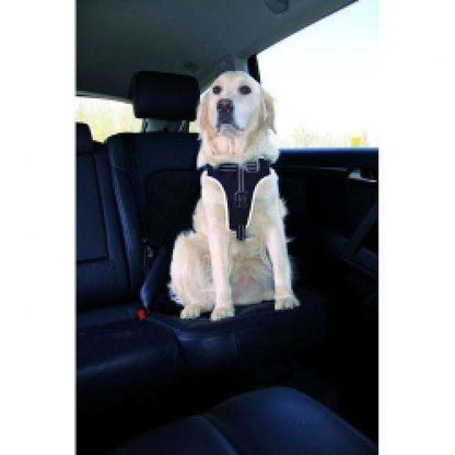 Auto-Sicherheitsgeschirr für Hunde | Pawfect