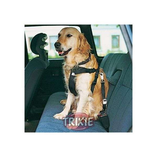 Hunde-Auto-Sicherheitsgeschirr | Pawfect